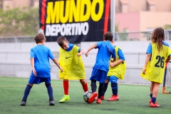 CAMPUSMD21_3-41