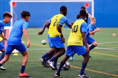 CAMPUSMD21_3-58