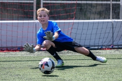 DG1_6679