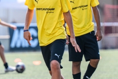DG1_2038
