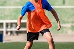 DG1_4012