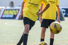 DG1_7337