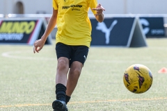 DG1_7348