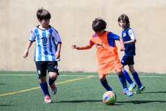 DGL_2243