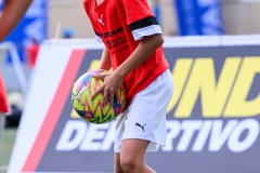 DGL_7966