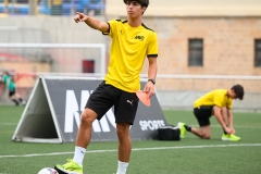 DGL_3595