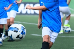 DGL_6523