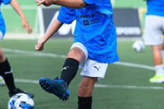 DGL_6549